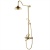 Душевая стойка Schein Saine Gold 8053055VF Золотой