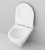 Комплект унитаза AM.PM Gem C901738SC с инсталляцией Berges Wasserhaus Novum L3 040213 с сиденьем Микролифт и клавишей смыва Хром