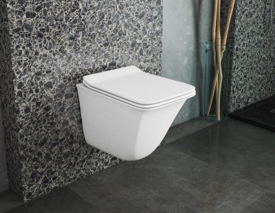 Комплект унитаза Owl 1975 Eter OWLT190203 с инсталляцией Geberit Duofix Delta UP100 458.124.21.1 с сиденьем Микролифт и клавишей смыва Хром