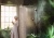 Душевая система Hansgrohe Raindance Select S Showerpipe 27633670 с термостатом Черный матовый