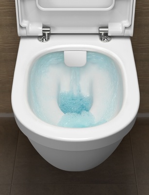 Комплект унитаза Vitra S 50 5956B003-0101 с гигиеническим душем Vitra Minimax S A49218EXP с сиденьем Микролифт Хром