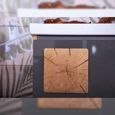 Тумба под раковину Бриклаер Форест 100 подвесная Антрацит со вставкой Пенёк