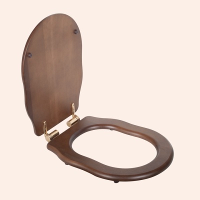 Сиденье для напольного унитаза TW Bristol TWBR09noce/oro орех, крепление золото