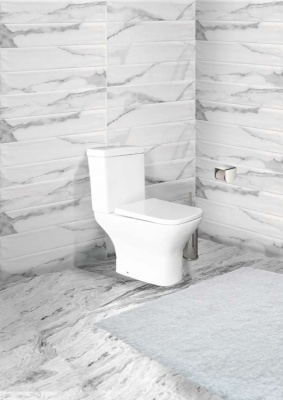 Унитаз компакт Acquasi Lando AS8600CPR без бачка и сиденья