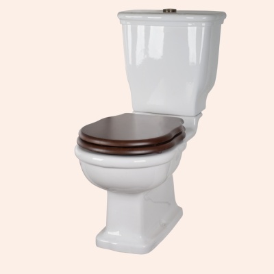 Унитаз TW Bristol TWBR50bi Белый