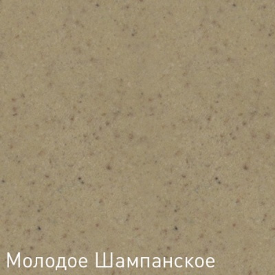 Кухонная мойка Zigmund&Shtain Rechtek 780.490 Молодое шампанское
