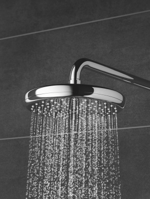 Верхний душ Grohe Tempesta 26412000 Хром
