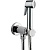 Гигиенический душ Bossini Paloma Flat E37011B.030 Хром